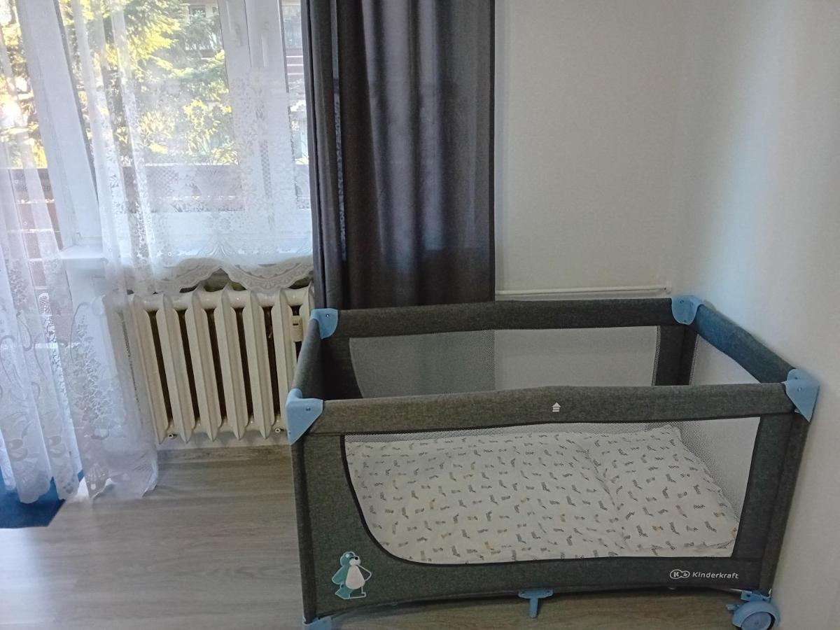 Apartament Rodzinny Zakopane Esterno foto